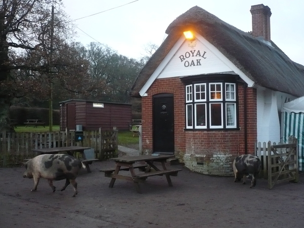 The Royal Oak, Fritham