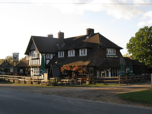 Fighting Cocks, Godshill