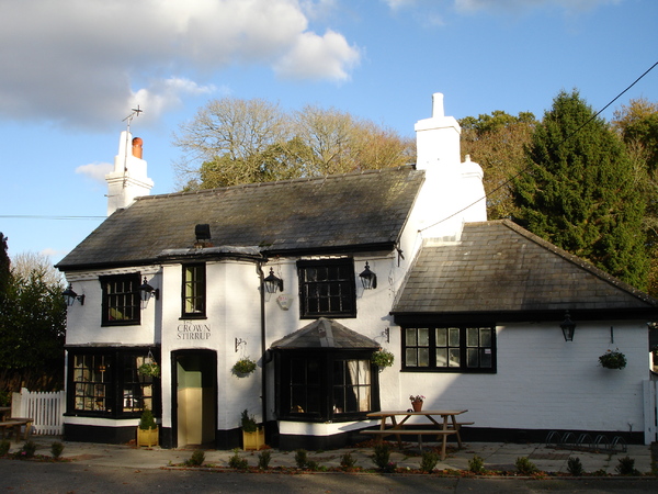 Crown Stirrup, Lyndhurst