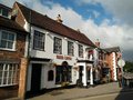 Lazy Lion, Milford on Sea